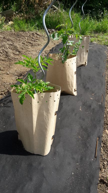 Ronds de paillage - Spécial potager - Biofib Jardin